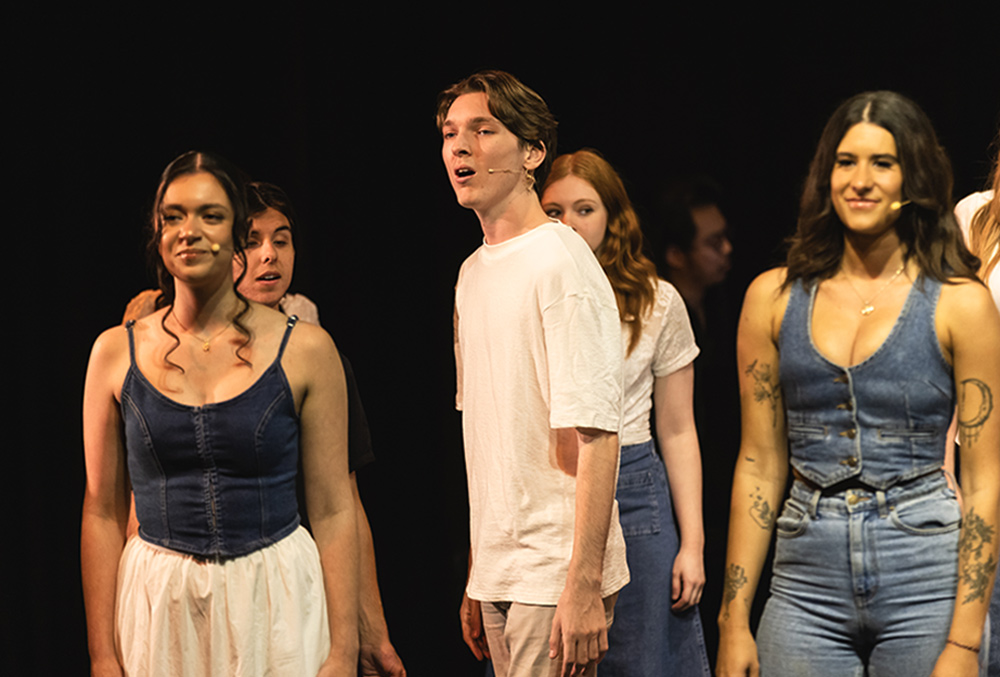 Musical Theatre Course Auditions
